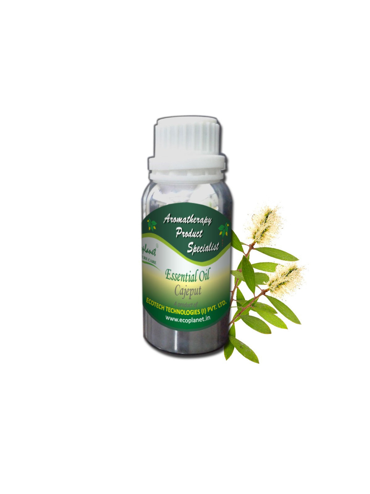 Essential Oil Cajeput 100 g