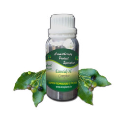 Essential Oil Camphor 100 g