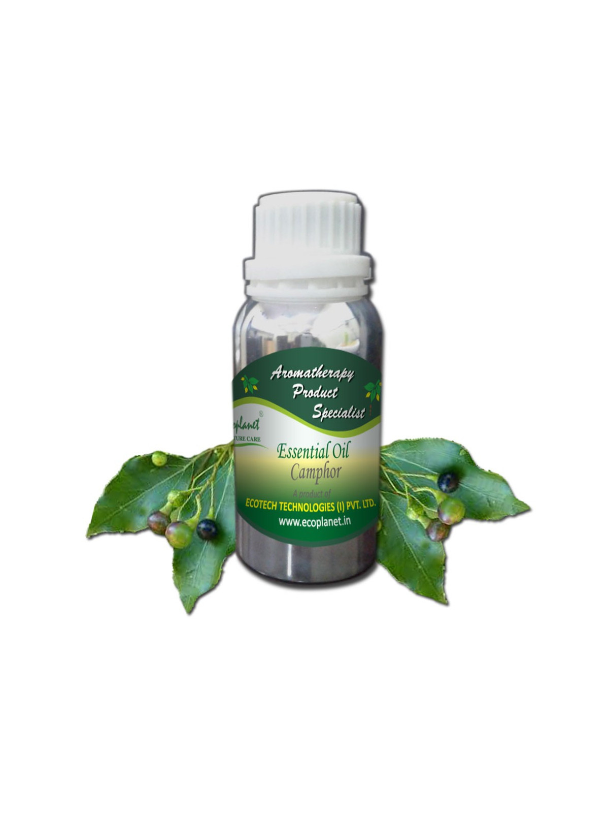Essential Oil Camphor 100 g