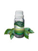 Essential Oil Camphor 100 g