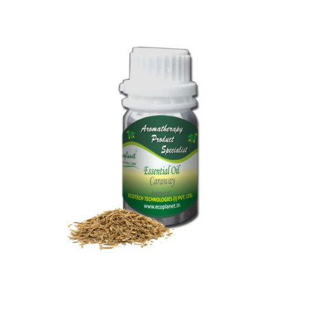 Essential OIl Caraway 50 g