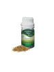 Essential OIl Caraway 50 g
