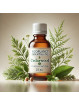 Cedarwood Essential Oil 25 ml