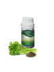 Essential Oil Celery Seed 50 g