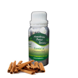 Essential Oil Cinnamon Bark 50 g