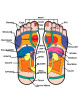 reflexology-foot-cream-infographics