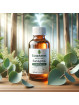 EcoPlanet Pure Eucalyptus Essential Oil: Elevate Your Wellness Journey - 25ml