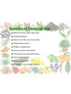 Essential Oil Ajwain 100 g