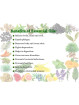 Essential Oil Black Pepper 25 g