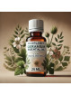 ecoplanet Geranium Essential Oil ( 25 ml )