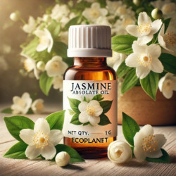 Buy Jasmine Absolute Essential Oil - 1g | EcoPlanetStore