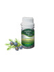 Essential Oil Juniper Berry 50 g