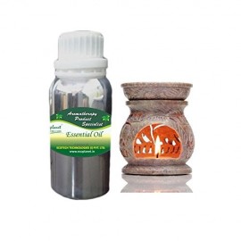 Essential Oil Cinnamon Bark 50 g