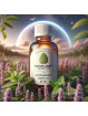 EcoPlanet Pure Peppermint Essential Oil: Natural Refreshment & Wellness � 25 ml