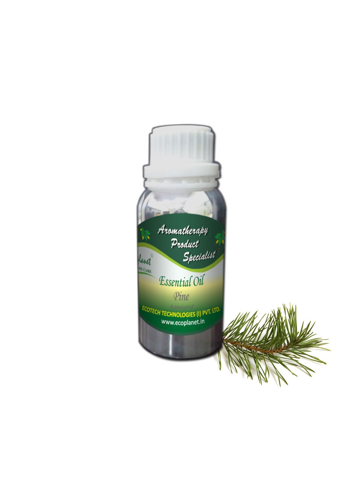 Essential Oil Pine 100 g