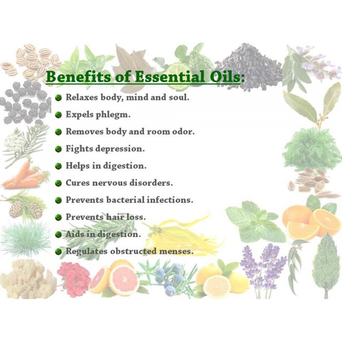Essential Oil Pine 100 g