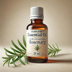 ecoplanet Rosemary Essential Oil ( 25 ml )