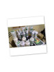 ecoplanet_aromatherapy_products
