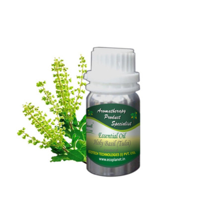 Essential Oil Holy Basil (Tulsi) - 50 g