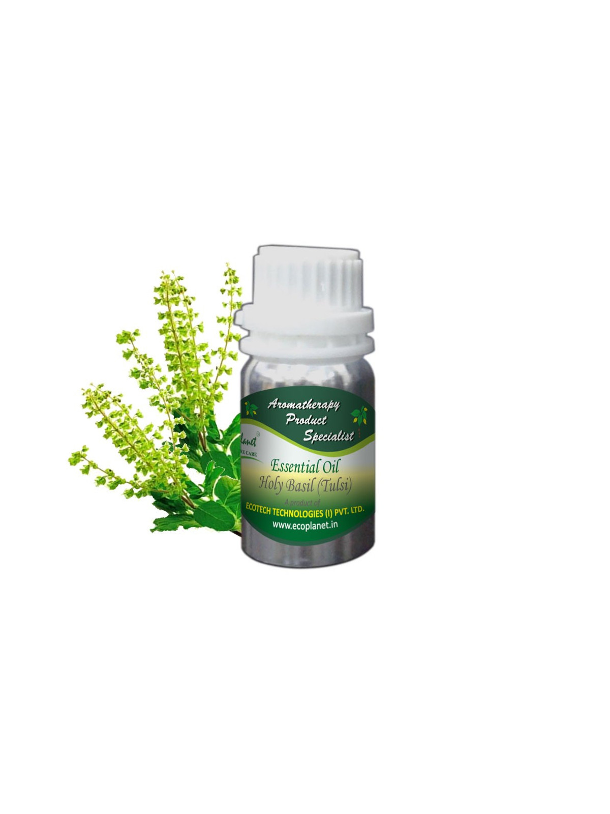Essential Oil Holy Basil (Tulsi) - 50 g