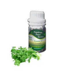 Essential Oil Coriander 50 g