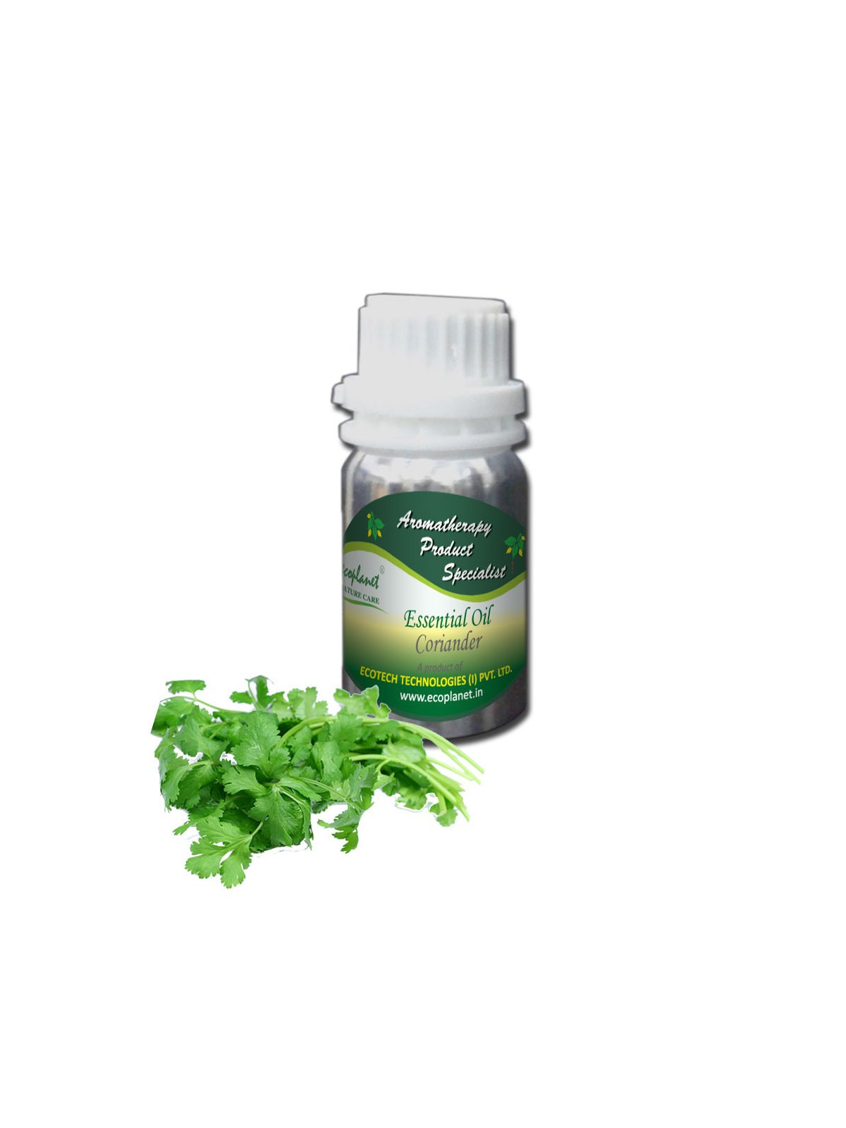 Essential Oil Coriander 50 g