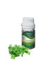 Essential Oil Coriander 50 g
