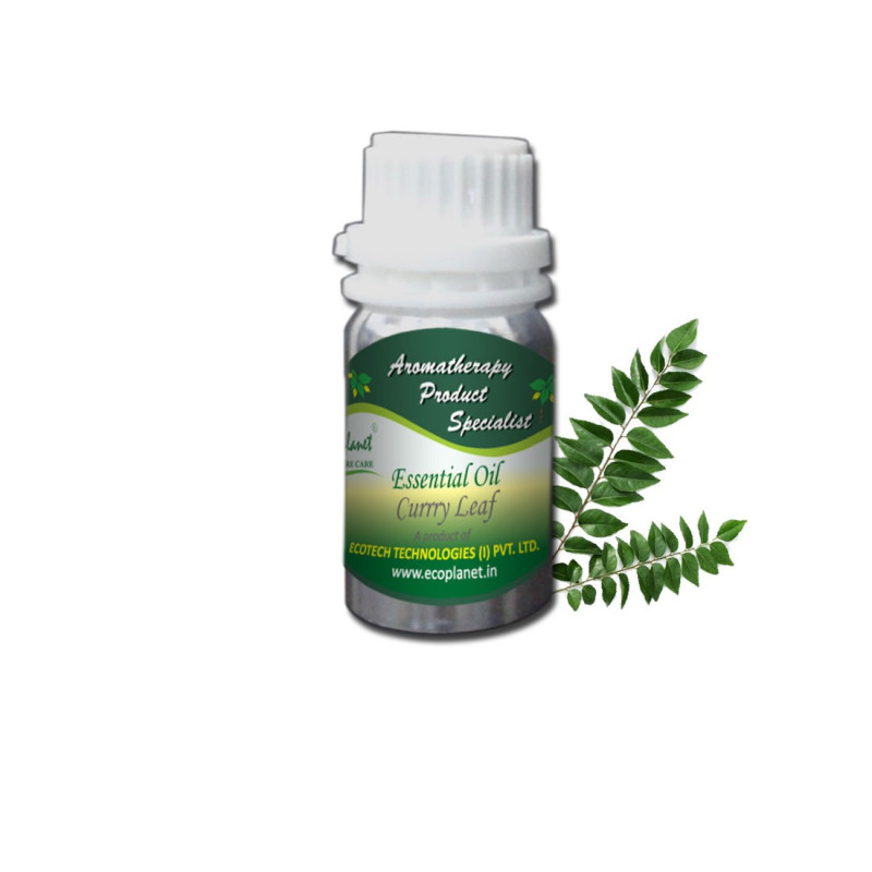 Essential Oil Curry Leaf 25g