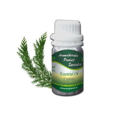 Essential Oil Cypress 50 g