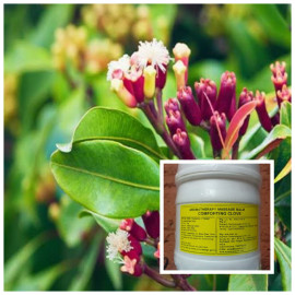 ecoplanet comforting clove balm