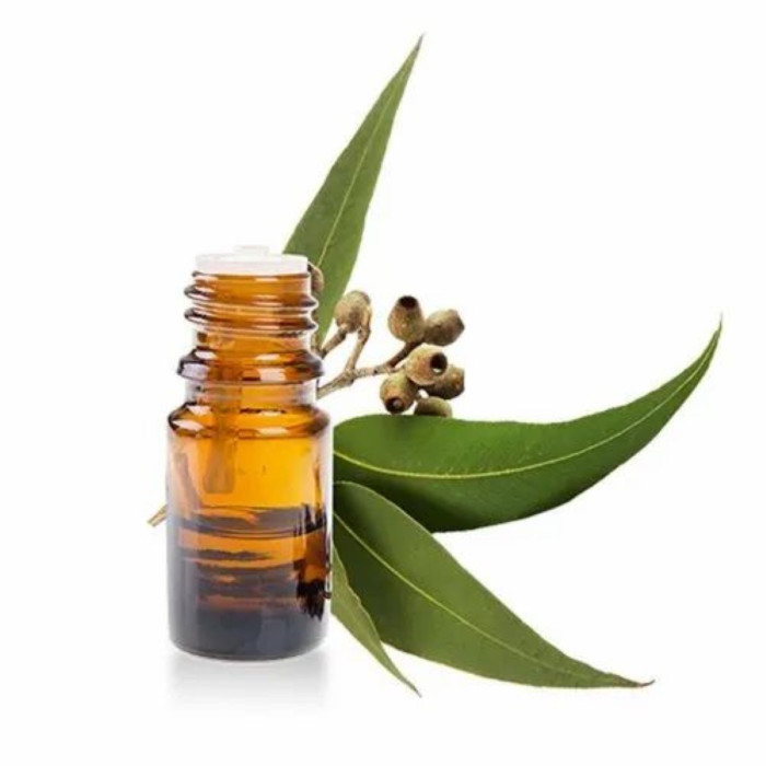 eucalyptus essential oil