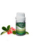 Essential Oil Wintergreen 50 g