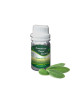 Essential Oil Sage 25 g