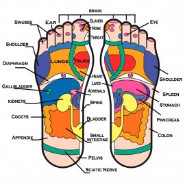 Reflexology Foot Massage Cream (1000 g) - EcoPlanet