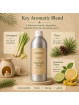 Benefits of EcoPlanet Lemongrass Blend aromatherapy diffuser oil