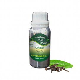 ecoplanet essential oil clove leaf