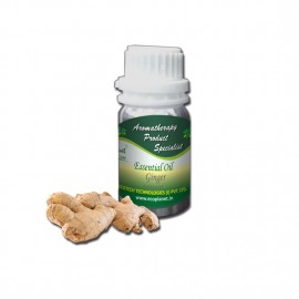 Essential Oil Ginger 25 g