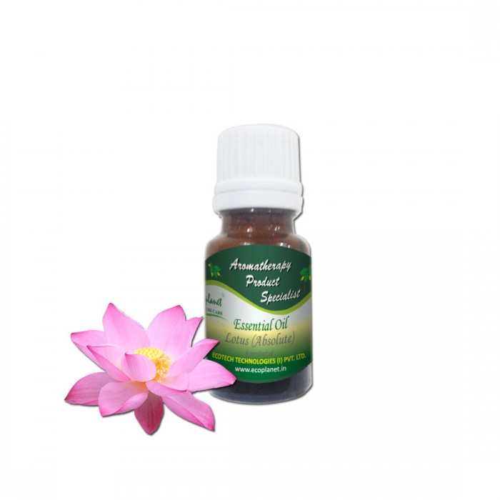 Natural and pure essential oil Lotus Buy Lotus oil online
