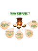 cold-and-flu-diffuser-oil-infographics