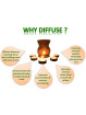 rejuvenative-diffuser-oil-infographics