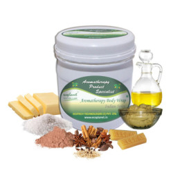 Body Wrap Indian Spice Detoxifying Disinfectant 1kg