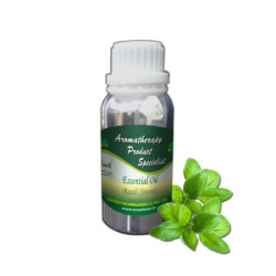 Essential Oil Basil (sweet) - 100 g