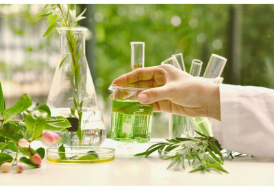 Ecoplanet: Unveiling the Science of Aromatherapy – How Essential Oils Elevate Skin and Well-being