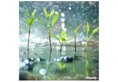 Scent of Change: Unraveling the Aromatic Impact of Deforestation, Climate Change, and VOCs on Human Well-being