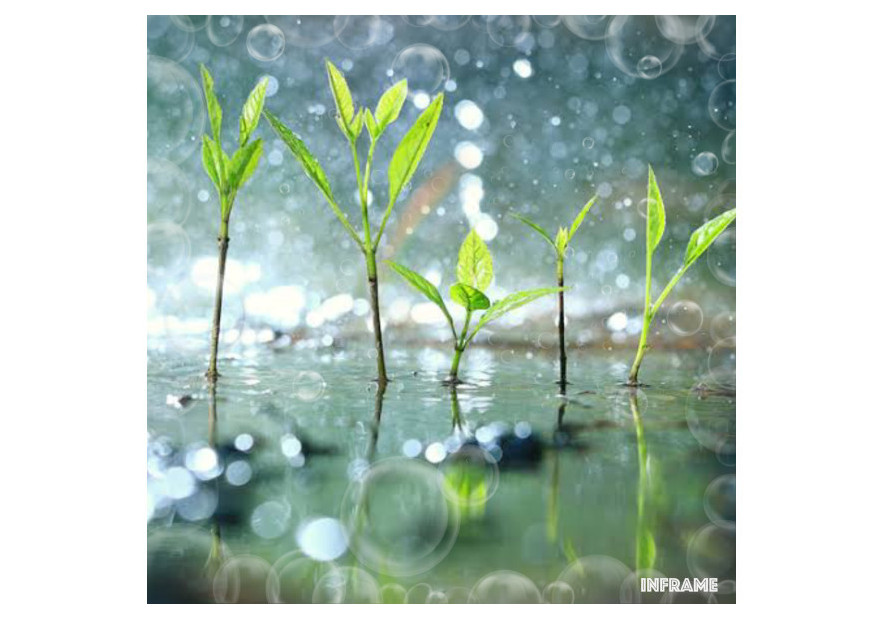 Scent of Change: Unraveling the Aromatic Impact of Deforestation, Climate Change, and VOCs on Human Well-being