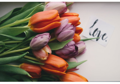 Ready to revolutionize the cosmetics industry ?