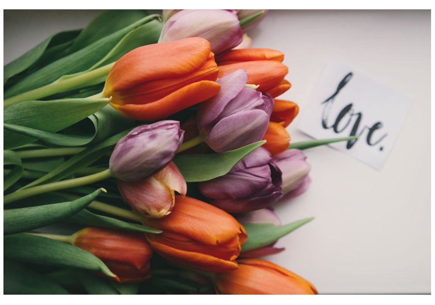 Ready to revolutionize the cosmetics industry ?