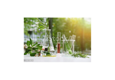 WHAT IS CLEAN BEAUTY ?