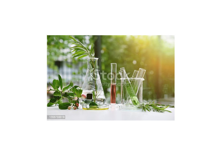 WHAT IS CLEAN BEAUTY ?