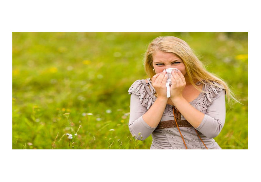 Aromatherapy for Allergy
